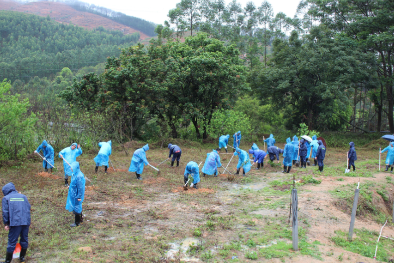 集團(tuán)組織開展“我與小樹同成長(zhǎng)”植樹節(jié)活動(dòng)