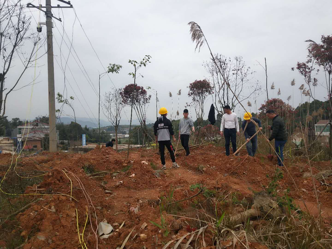 春天里，寧鄉(xiāng)港灣為礦山披綠