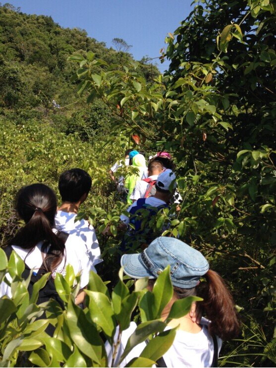 “心港灣、新征途”－招商港灣集團馬巒山徒步活動-