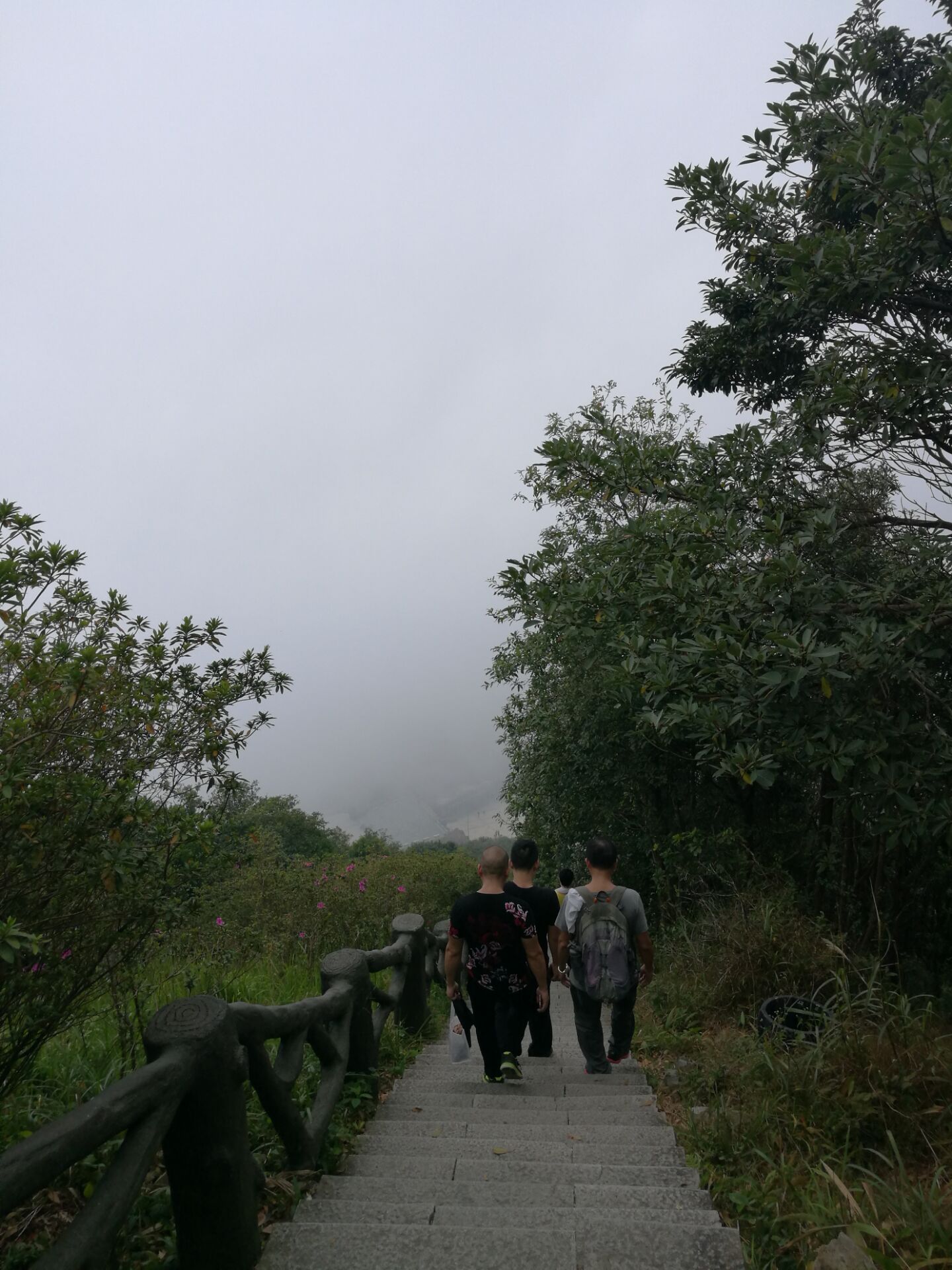 2017年“凝聚力，勇攀登”登梧桐山活動-