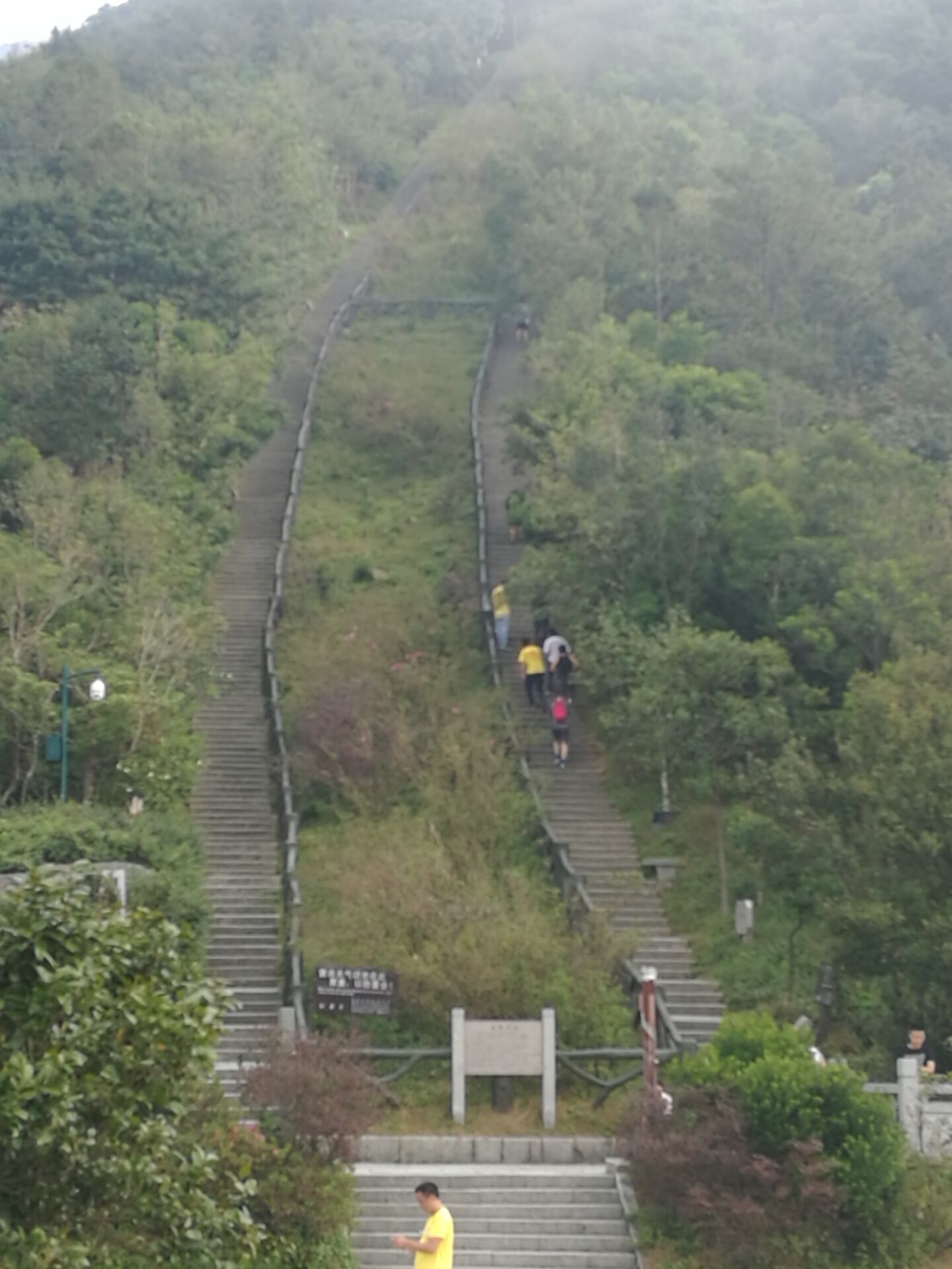 2017年“凝聚力，勇攀登”登梧桐山活動-